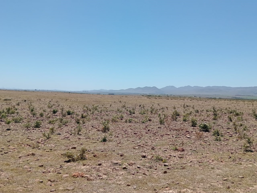 Commercial Property for Sale in Humansdorp Rural Eastern Cape